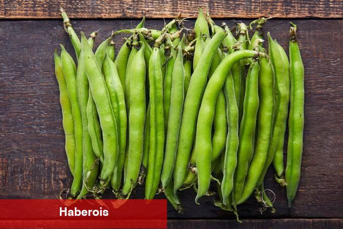 Yaz mevsiminin en yararlı yeşili! Bakla pankreasın yıpranmasını engelliyor