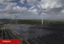 "Yeşil güç fiyat avantajında önemli fark oluşturdu"