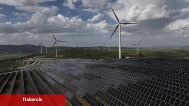 "Yeşil güç fiyat avantajında önemli fark oluşturdu"