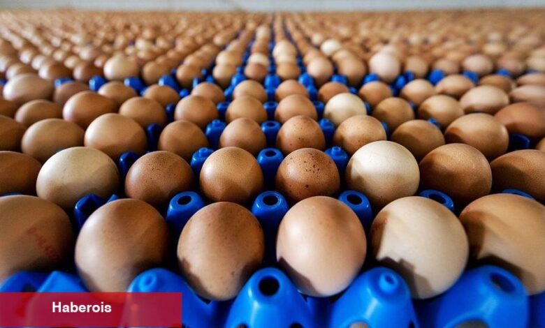 Yumurta ihracatında 1,5 dolarlık fon kaldırıldı
