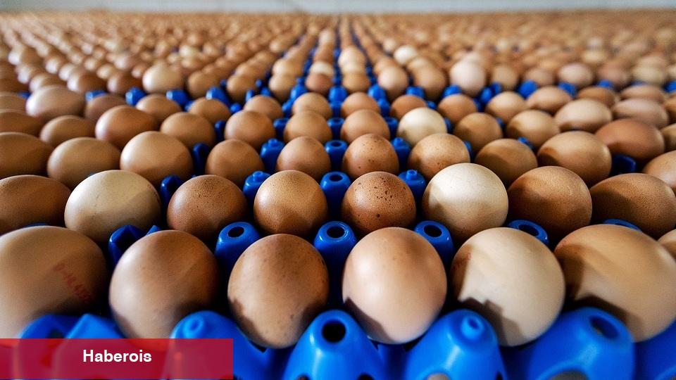 Yumurta ihracatında 1,5 dolarlık fon kaldırıldı