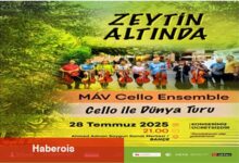 Zeytin Altında konserleri MAV Cello Ensemble ile başlıyor