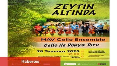 Zeytin Altında konserleri MAV Cello Ensemble ile başlıyor
