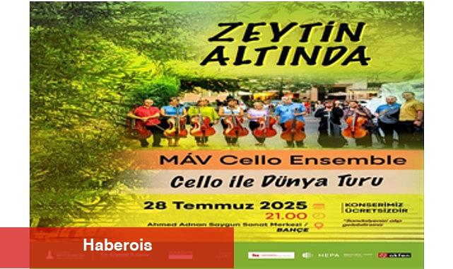 Zeytin Altında konserleri MAV Cello Ensemble ile başlıyor - Haberois Zeytin Altında konserleri MAV Cello Ensemble ile başlıyor