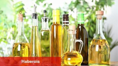 Zeytinyağı ihracatı tüketici ülkelere arttı - Haberois Zeytinyağı ihracatı tüketici ülkelere arttı